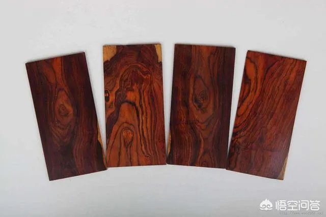 伯利兹黄檀是如何冒充海南黄花梨的？