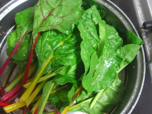 莙达菜有哪些食疗作用 莙达菜家常做法分享