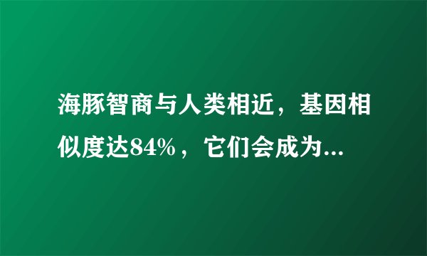 海豚智商与人类相近，基因相似度达84%，它们会成为新人类吗？