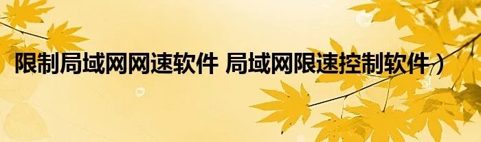 限制局域网网速软件 局域网限速控制软件）