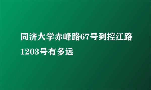 同济大学赤峰路67号到控江路1203号有多远