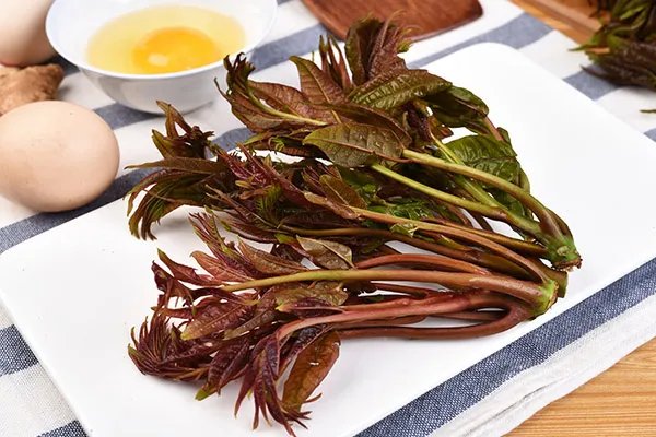 香椿的营养价值