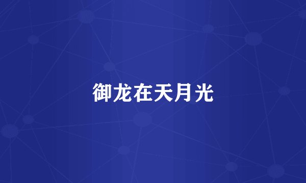 御龙在天月光