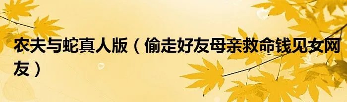 农夫与蛇真人版（偷走好友母亲救命钱见女网友）