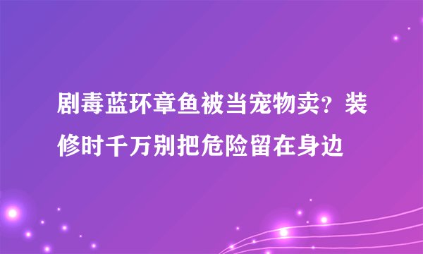 剧毒蓝环章鱼被当宠物卖？装修时千万别把危险留在身边
