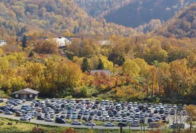 八甲人是什么人 八甲王