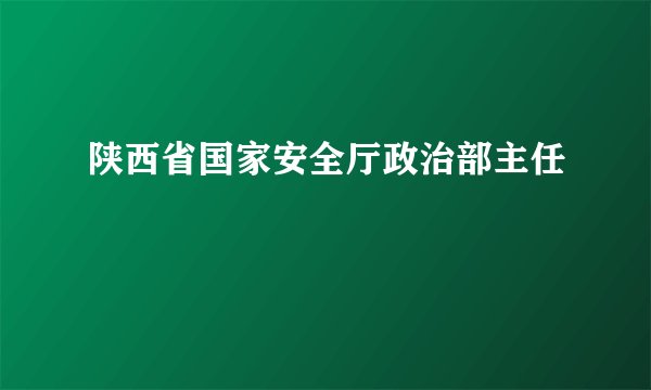 陕西省国家安全厅政治部主任