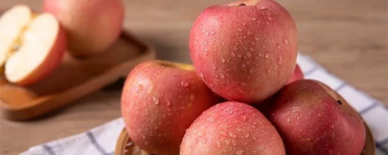 苹果的别称是什么 苹果别称叫什么