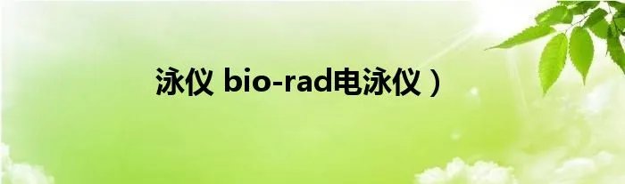 泳仪 bio-rad电泳仪）