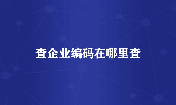 查企业编码在哪里查