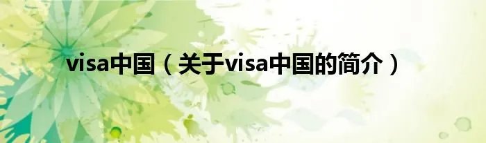 visa中国（关于visa中国的简介）