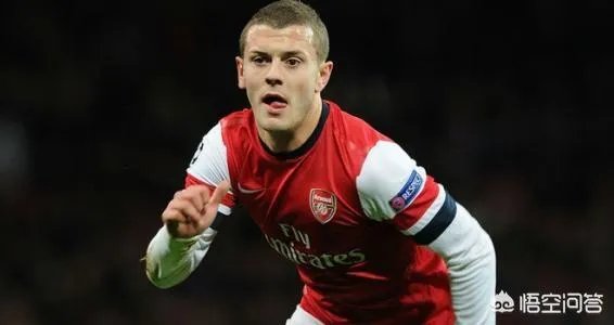 为什么威尔谢尔被黑得这么惨？