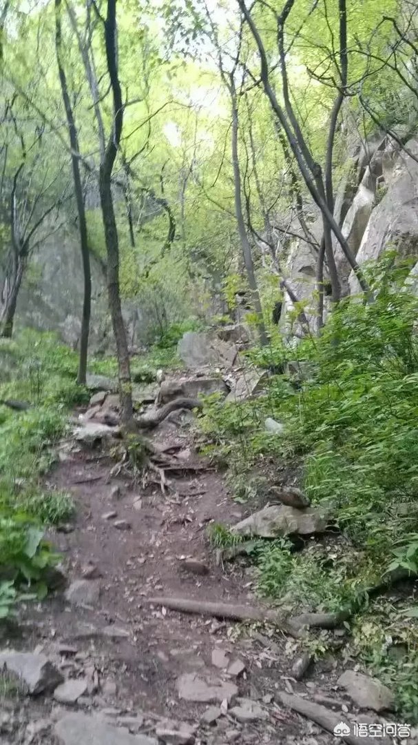 想去河南登封旅游2天，该怎么规划？