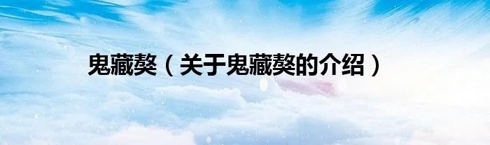 鬼藏獒（关于鬼藏獒的介绍）