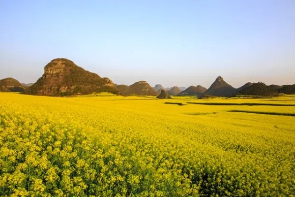 中国十大春季旅游景点
