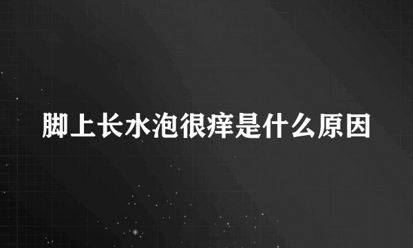 脚上长水泡很痒是什么原因