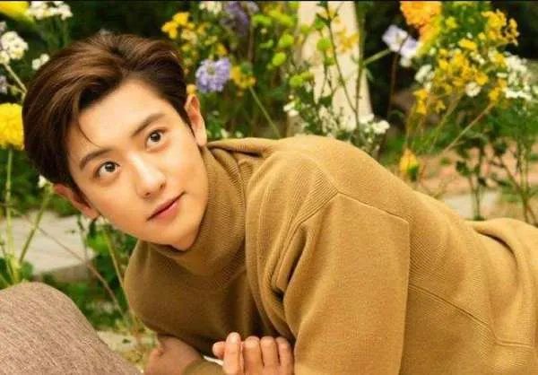 韩星朴灿烈被曝出轨多次，此次事件会给他造成什么影响