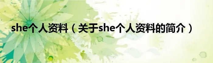 she个人资料（关于she个人资料的简介）