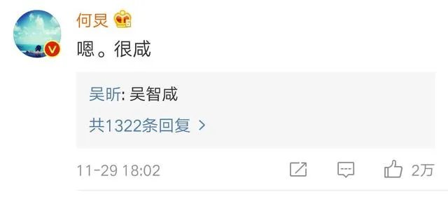 吴昕微博晒自拍并附文“拍出全智贤的感觉了吗”，你怎么看？