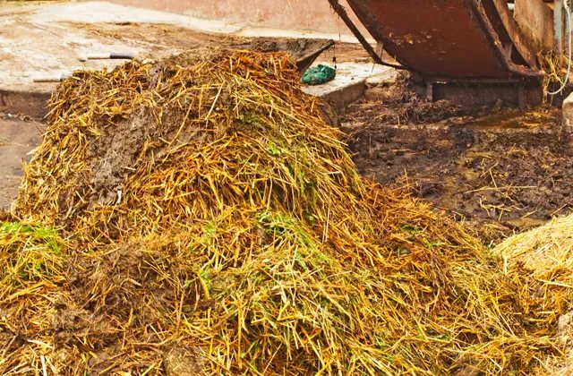 有机肥原料有哪些 有机肥原料的优缺点