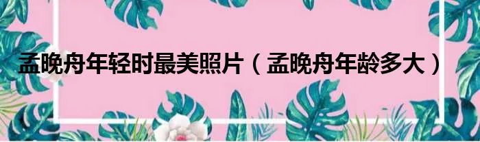 孟晚舟年轻时最美照片（孟晚舟年龄多大）