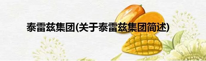 泰雷兹集团(关于泰雷兹集团简述)