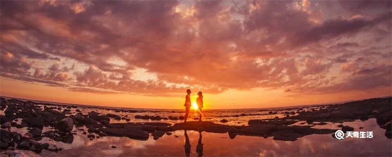 简短的高级情话