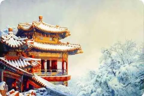 华裔眼镜哥是什么?