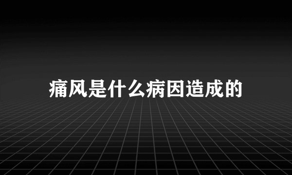 痛风是什么病因造成的