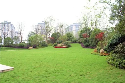 小区绿化率多少合适