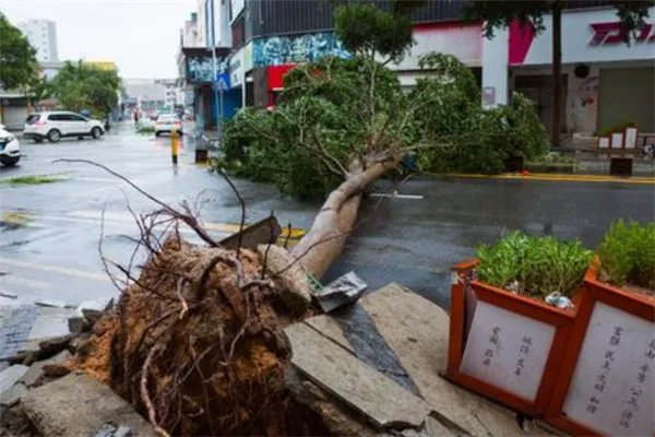 世界上最强台风排名:诺拉上榜 ,第四损失了6.94亿美元