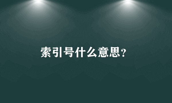 索引号什么意思？