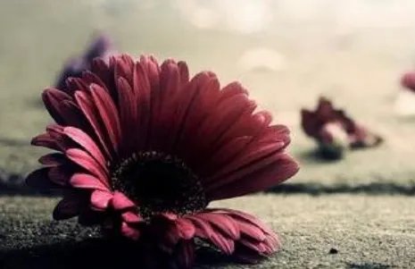 “锦上添花”和“雪中送炭”有什么区别