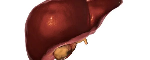 黄疸肝炎有哪些症状