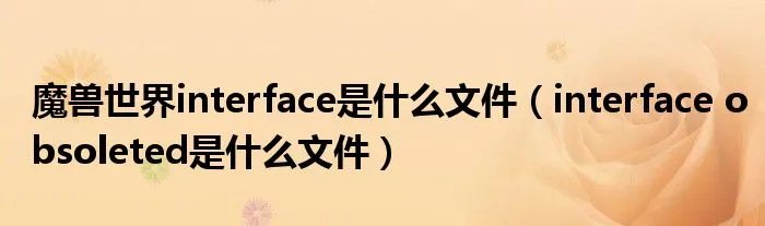 魔兽世界interface是什么文件（interface obsoleted是什么文件）