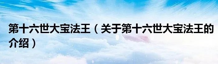 第十六世大宝法王（关于第十六世大宝法王的介绍）