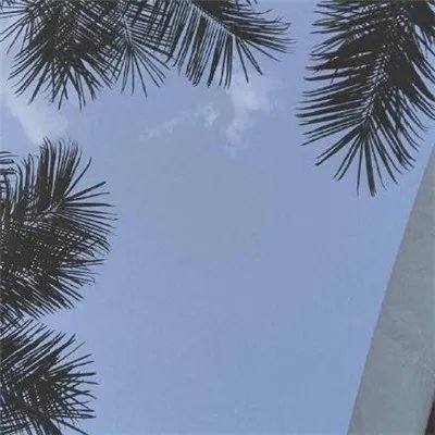 2018最时尚的微信图片