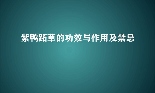 紫鸭跖草的功效与作用及禁忌