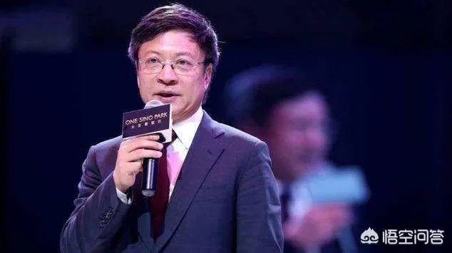 孙宏斌背后的老板是谁