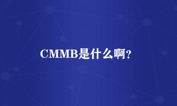 CMMB是什么啊？