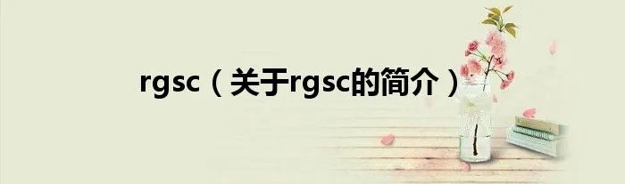 rgsc（关于rgsc的简介）