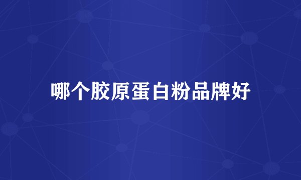哪个胶原蛋白粉品牌好