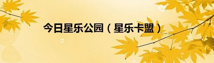 今日星乐公园（星乐卡盟）