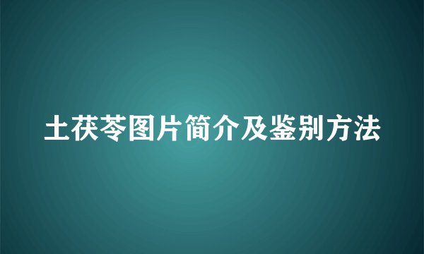 土茯苓图片简介及鉴别方法