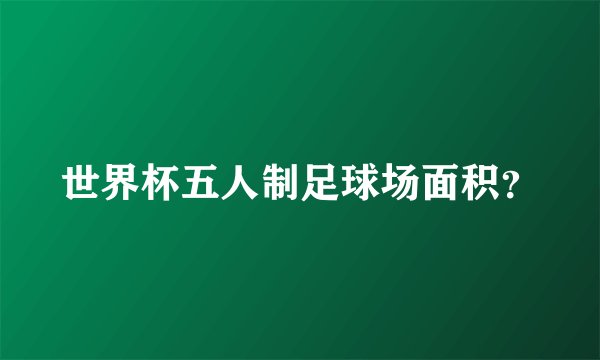 世界杯五人制足球场面积？