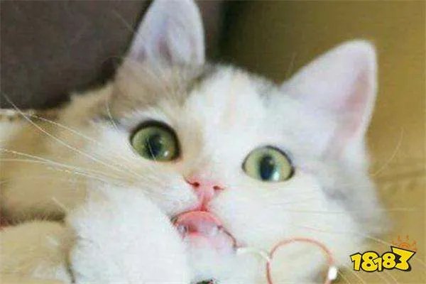 王者荣耀抖音主播排行:猫萌上榜,第九是最菜女主播