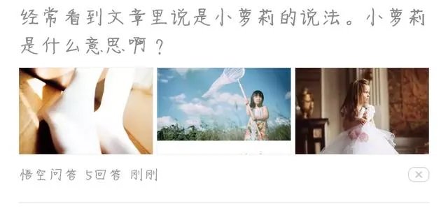 小萝莉是什么意思？