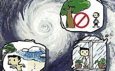 台风天如何避险