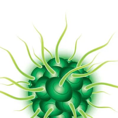 丁型病毒性肝炎有哪些危害？