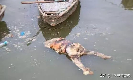 印度恒河污染那么严重,为什么不全面治理?